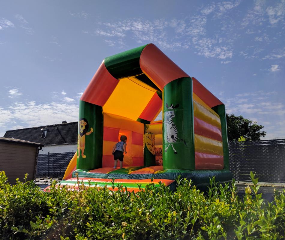 Springkasteel Sint-Katherina-Lombeek (Ternat) - Dierentuin - Nathalie Moreau